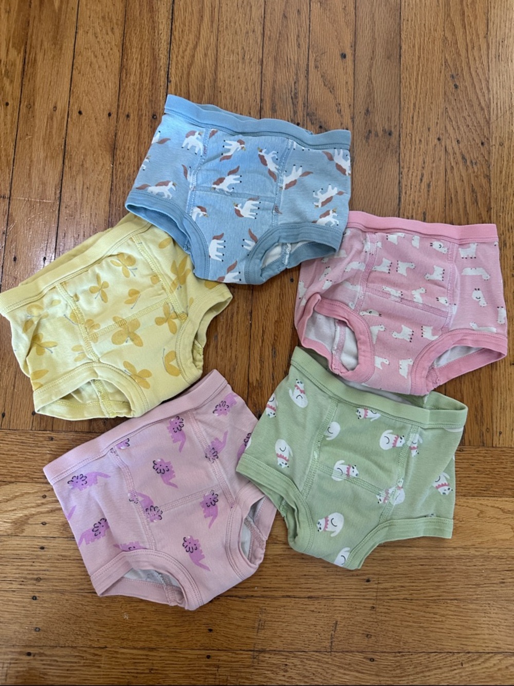 Hannah Andersson Organic Cotton Training Underwear Pack - Pastel Mix - XS